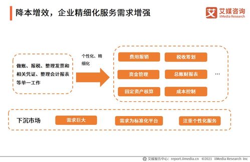 2021上半年中國(guó)財(cái)稅類(lèi)企業(yè)服務(wù)專(zhuān)題研究 信息咨詢服務(wù)的變革與未來(lái)